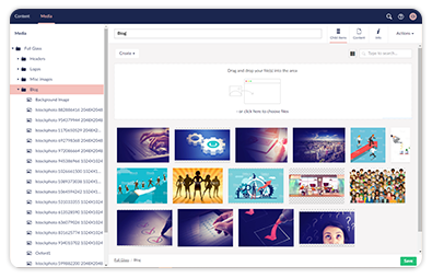 Small business umbraco websites