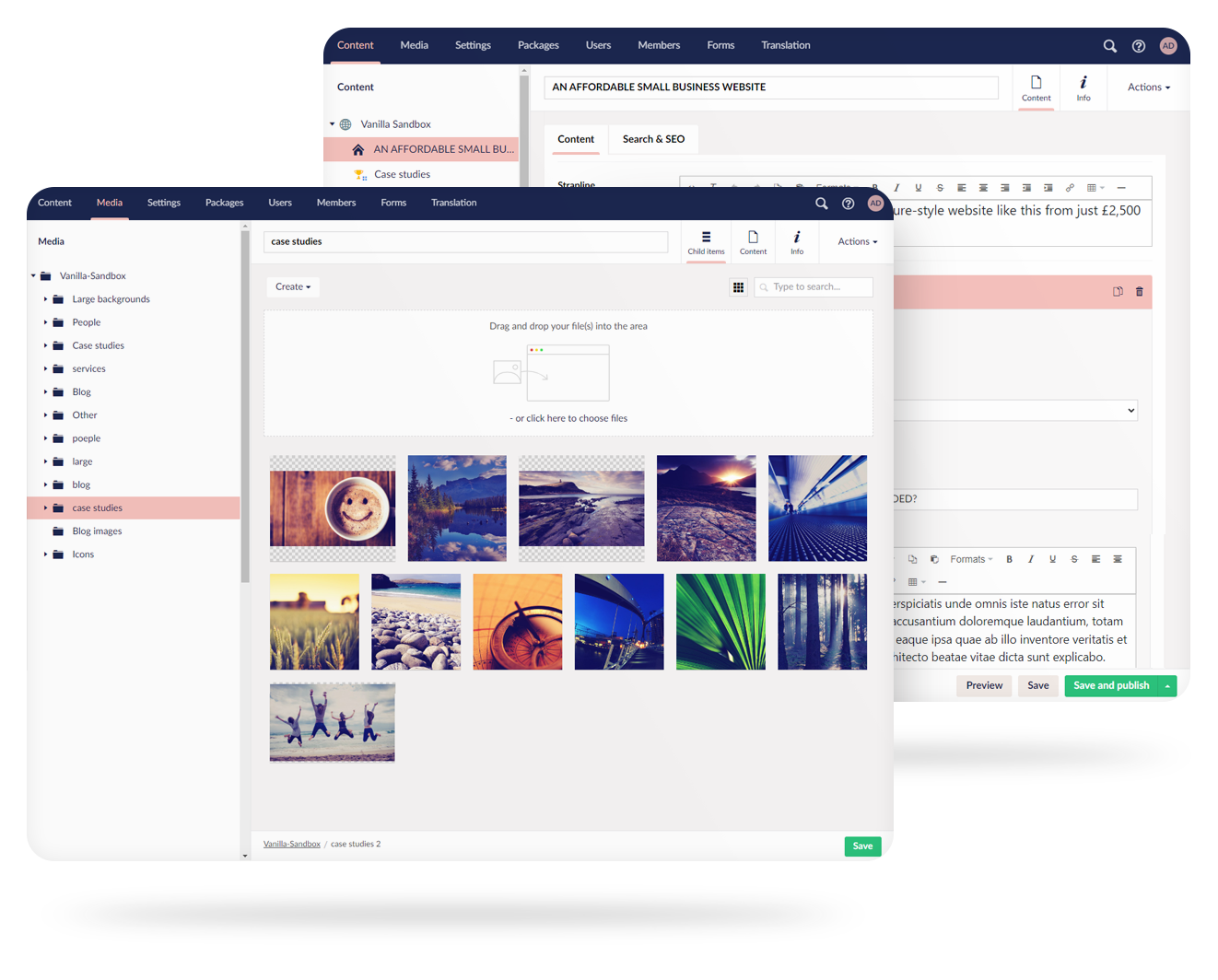 Example of custom CMS